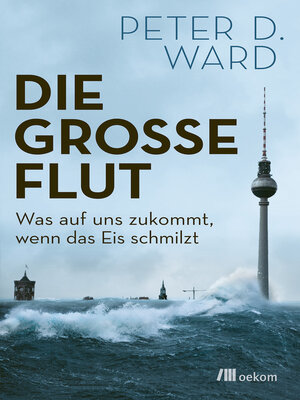 cover image of Die große Flut